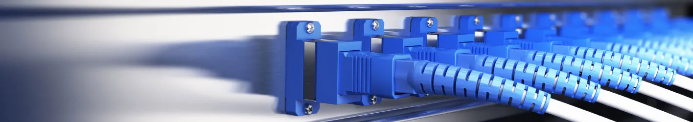 Cables connected to a server