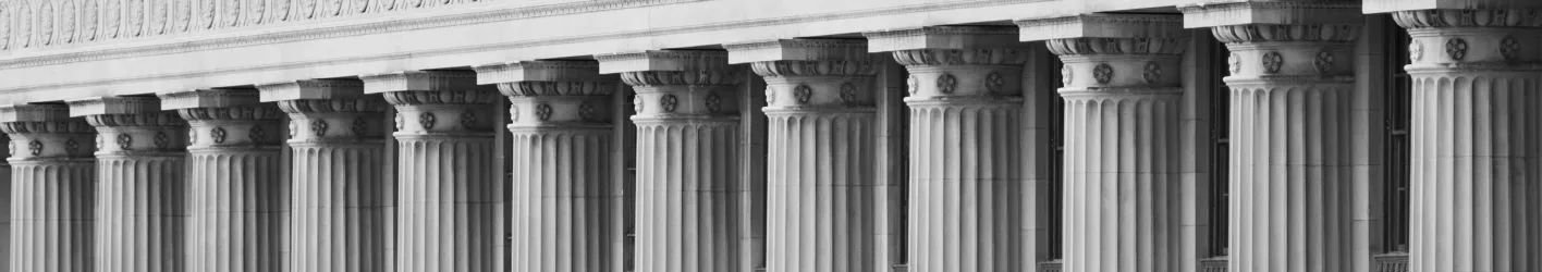 Pillars of a government buidling